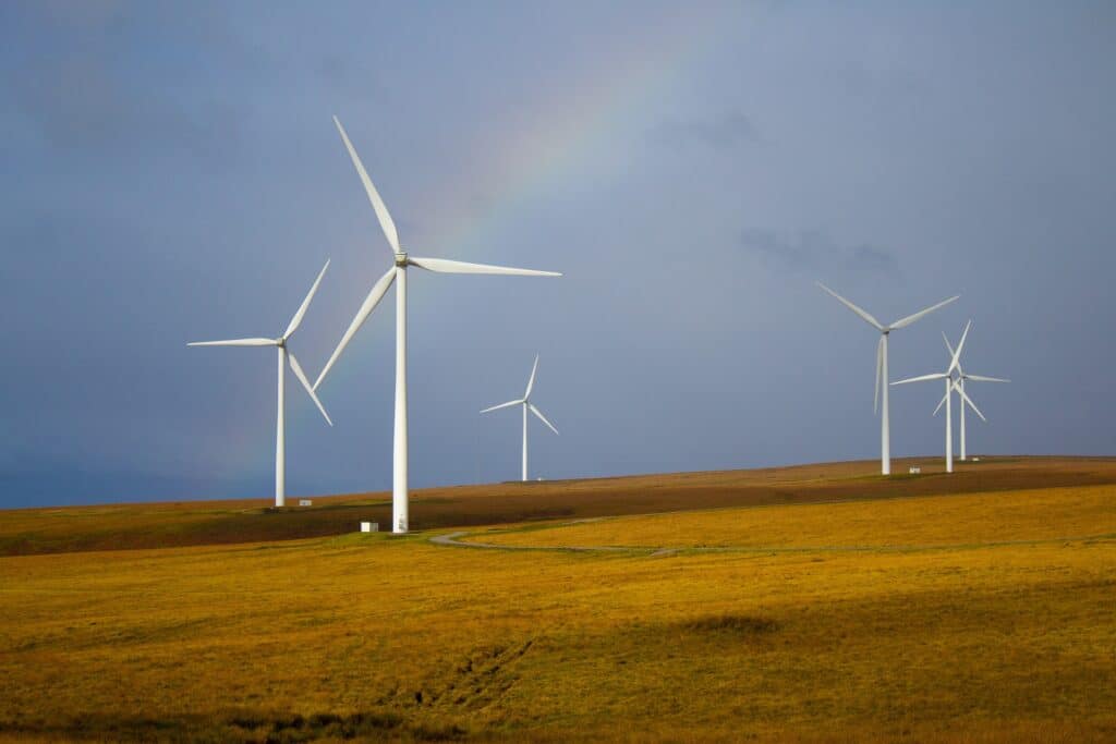 Image of wind turbines in a field